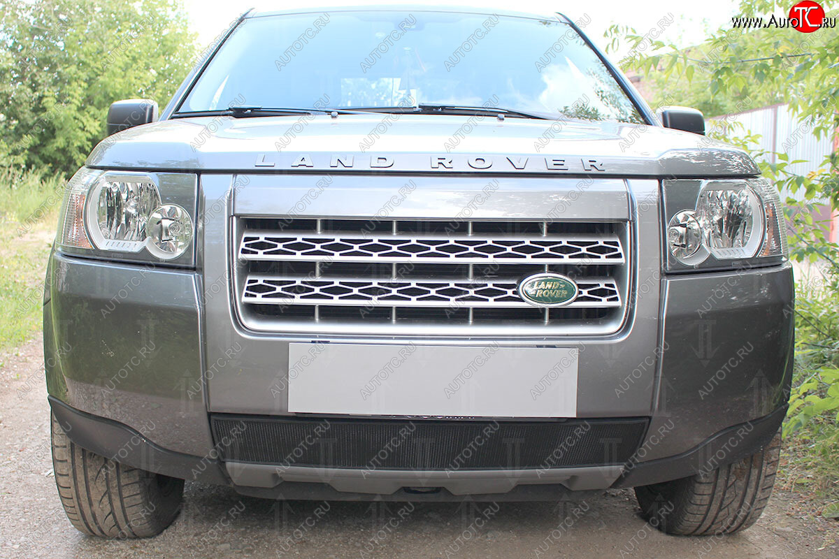 2 899 р. Защитная сетка в бампер (низ, ячейка 3х7 мм) Alfeco Стандарт  Land Rover Freelander  L359 (2006-2010) дорестайлинг (Чёрная)  с доставкой в г. Кемерово