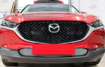 Защитная сетка в бампер (низ, ячейка 3х7 мм) Alfeco Стандарт Mazda CX-30 1 DM (2019-2025) ()