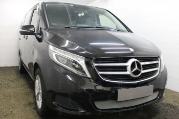 3 099 р. Защитная сетка в бампер (низ, ячейка 3х7 мм) Alfeco Стандарт Mercedes-Benz Vito W447 дорестайлинг (2015-2020) (Хром)  с доставкой в г. Кемерово. Увеличить фотографию 2