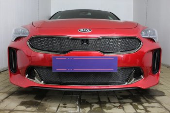 6 249 р. Защитная сетка в бампер (верх, ячейка 4х10 мм) Alfeco Премиум  KIA Stinger (2017-2025) (Чёрная)  с доставкой в г. Кемерово. Увеличить фотографию 4