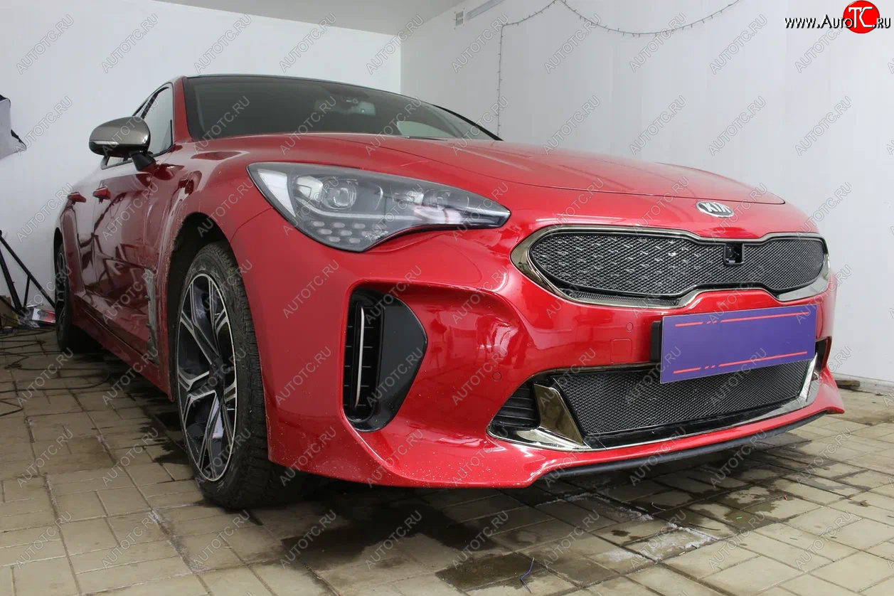 6 249 р. Защитная сетка в бампер (верх, ячейка 4х10 мм) Alfeco Премиум  KIA Stinger (2017-2025) (Чёрная)  с доставкой в г. Кемерово