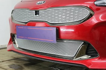 6 299 р. Защитная сетка в бампер (верх, ячейка 4х10 мм) Alfeco Премиум  KIA Stinger (2017-2025) (Хром)  с доставкой в г. Кемерово. Увеличить фотографию 2