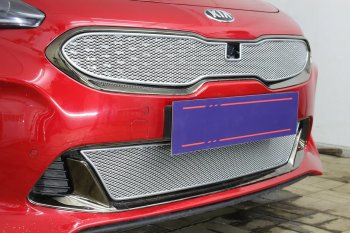 4 299 р. Защитная сетка в бампер (низ, ячейка 4х10 мм) Alfeco Премиум  KIA Stinger (2017-2025) (Хром)  с доставкой в г. Кемерово. Увеличить фотографию 4