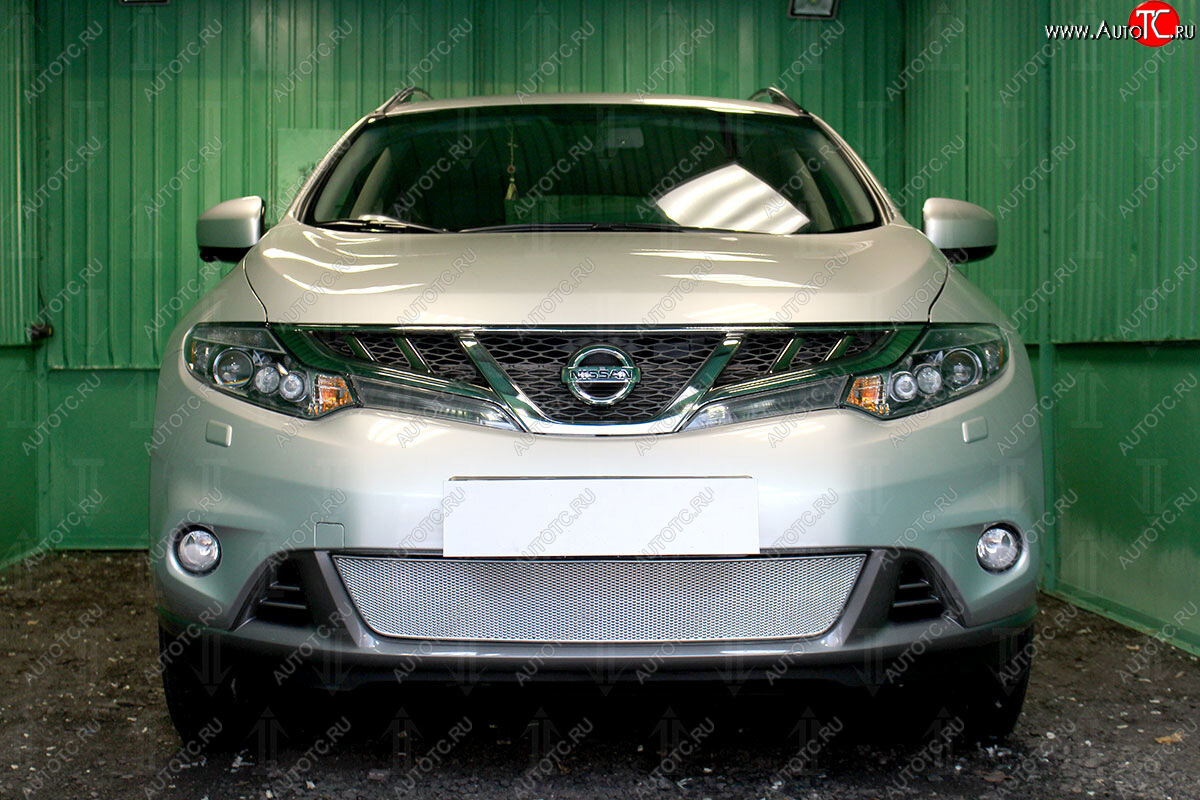 4 549 р. Защитная сетка в бампер (низ, ячейка 3х7 мм) Стрелка11 Премиум  Nissan Murano  2 Z51 (2010-2016) рестайлинг (Хром)  с доставкой в г. Кемерово