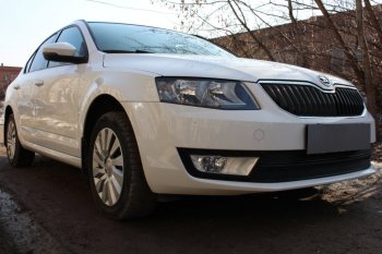6 999 р. Защитная сетка в бампер (низ, 2 части, компл.Ambition,Elegance,Style, ячейка 4х10 мм) Стрелка11 Премиум Skoda Octavia A7 дорестайлинг лифтбэк (2012-2017) (Чёрная)  с доставкой в г. Кемерово. Увеличить фотографию 2