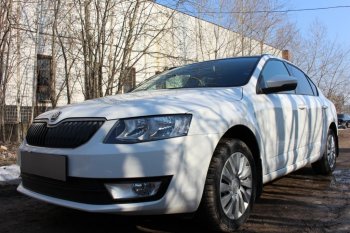 6 999 р. Защитная сетка в бампер (низ, 2 части, компл.Ambition,Elegance,Style, ячейка 4х10 мм) Стрелка11 Премиум Skoda Octavia A7 дорестайлинг лифтбэк (2012-2017) (Чёрная)  с доставкой в г. Кемерово. Увеличить фотографию 3