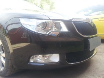 4 299 р. Защитная сетка в бампер (низ, ячейка 4х10 мм) Стрелка11 Премиум Skoda Superb B6 (3T) лифтбэк дорестайлинг (2008-2013) (Чёрная)  с доставкой в г. Кемерово. Увеличить фотографию 2