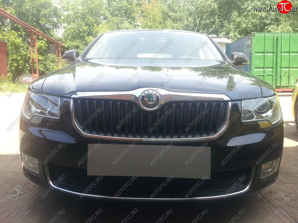 4 299 р. Защитная сетка в бампер (низ, ячейка 4х10 мм) Стрелка11 Премиум Skoda Superb B6 (3T) лифтбэк дорестайлинг (2008-2013) (Чёрная)  с доставкой в г. Кемерово