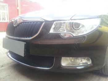 4 299 р. Защитная сетка в бампер (низ, ячейка 4х10 мм) Стрелка11 Премиум Skoda Superb B6 (3T) лифтбэк дорестайлинг (2008-2013) (Чёрная)  с доставкой в г. Кемерово. Увеличить фотографию 3