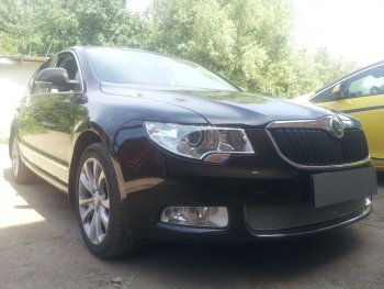 4 299 р. Защитная сетка в бампер (низ, ячейка 4х10 мм) Стрелка11 Премиум  Skoda Superb ( B6 (3T),  B6 (3T5)) (2008-2013) лифтбэк дорестайлинг, универсал доресталийнг (Хром)  с доставкой в г. Кемерово. Увеличить фотографию 2