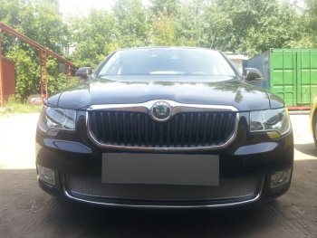 4 299 р. Защитная сетка в бампер (низ, ячейка 4х10 мм) Стрелка11 Премиум  Skoda Superb ( B6 (3T),  B6 (3T5)) (2008-2013) лифтбэк дорестайлинг, универсал доресталийнг (Хром)  с доставкой в г. Кемерово. Увеличить фотографию 1