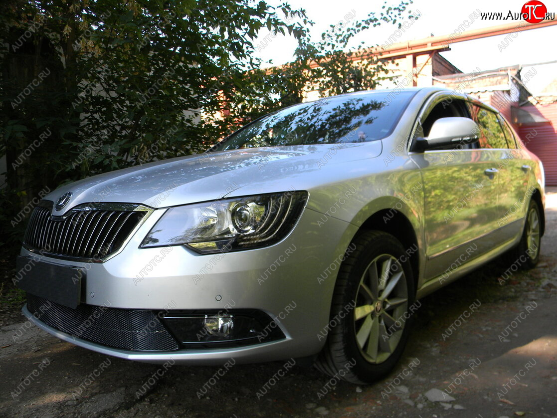 4 649 р. Защитная сетка в бампер (низ, ячейка 4х10 мм) Стрелка11 Премиум  Skoda Superb ( (B6) 3T,  B6 (3T5)) (2013-2015) лифтбэк рестайлинг, универсал рестайлинг (Чёрная)  с доставкой в г. Кемерово