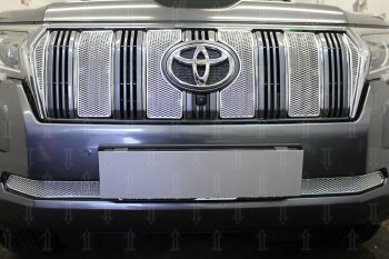 4 549 р. Защитная сетка в бампер (низ, ячейка 4х10 мм) Стрелка11 Премиум  Toyota Land Cruiser Prado  J150 (2017-2025) 2-ой рестайлинг, 3-ий рестайлинг (Хром)  с доставкой в г. Кемерово. Увеличить фотографию 1