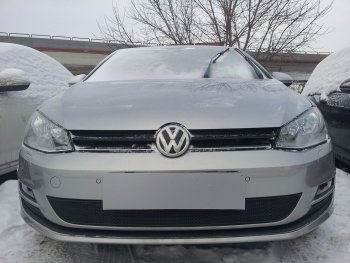 Защитная сетка в бампер (низ, ячейка 4х10 мм) Стрелка11 Премиум Volkswagen Golf 7 дорестайлинг, хэтчбэк 5 дв. (2012-2017) ()