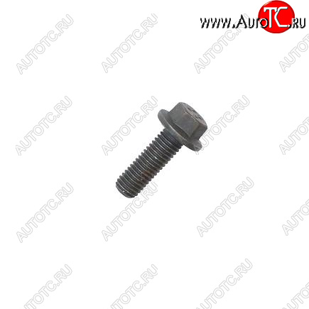 60 р. Болт многофункциональный (М10Х1.5Х30) 3903112 CUMMINS 0694  с доставкой в г. Кемерово