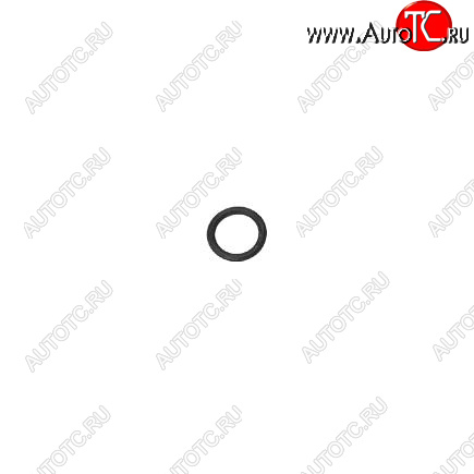 25 р. Кольцо уплотнительное болта клапанной крышки 6CT 3910824 CUMMINS 13596  с доставкой в г. Кемерово