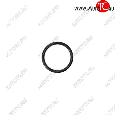 100 р. Кольцо уплотнительное QSM, ISM, M11 3035026 CUMMINS 13462  с доставкой в г. Кемерово
