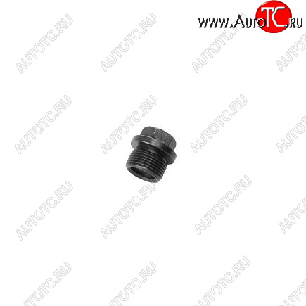 170 р. Пробка поддона 3915787 CUMMINS 13802  с доставкой в г. Кемерово