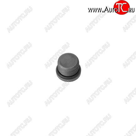259 р. Заглушка резьбовая ГБЦ, корпуса термостата ISF 3.8 3678611 CUMMINS 13558  с доставкой в г. Кемерово