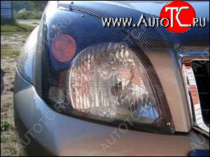1 199 р. Защита передних фар карбоновая TOYOTA LAND CRUISER PRADO 2001-2008, NLD.STOLCP0123  Тойота Ленд крузер прадо SIM nld.stolcp0123  с доставкой в г. Кемерово
