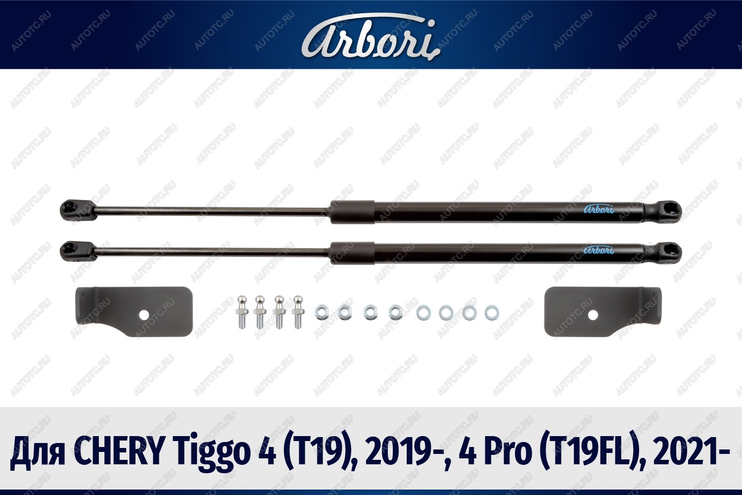 3 499 р. Упоры капота для CHERY Tiggo 4 (T19), 2019-, 4 Pro (T19FL), 2021-, к-т 2 шт  Черри Тигго 4 Arbori arbori.hd.017101  с доставкой в г. Кемерово