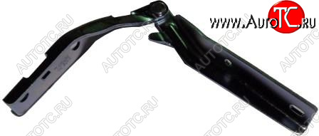 0 р. Левая петля капота TYG Peugeot 206 хэтчбэк 3 дв. 2AC дорестайлинг (1998-2003) (неокрашенная)  с доставкой в г. Кемерово