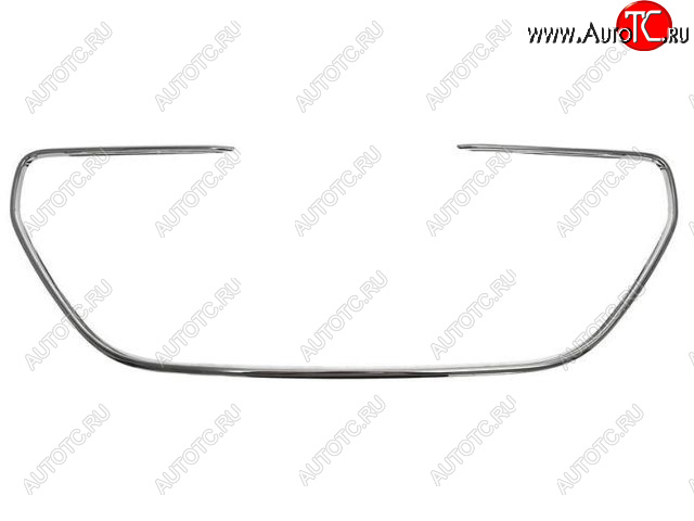 3 399 р. 301 МОЛДИНГ РЕШЕТКИ РАДИАТОРА (Китай) BODYPARTS pg30113-120  с доставкой в г. Кемерово