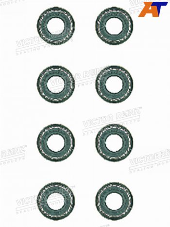 559 р. Комплект маслосъёмных колпачков  BMW 5(E34)3(E46) M43B16 VICTOR REINZ 12-26058-02  с доставкой в г. Кемерово. Увеличить фотографию 1