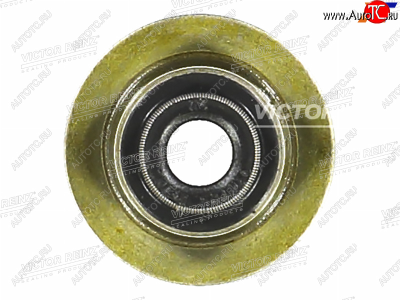 171 р. Колпачок маслосъёмный CITROENPEUGEOT BOXERJUMPER 4HU4HV VICTOR REINZ 70-35549-00  с доставкой в г. Кемерово