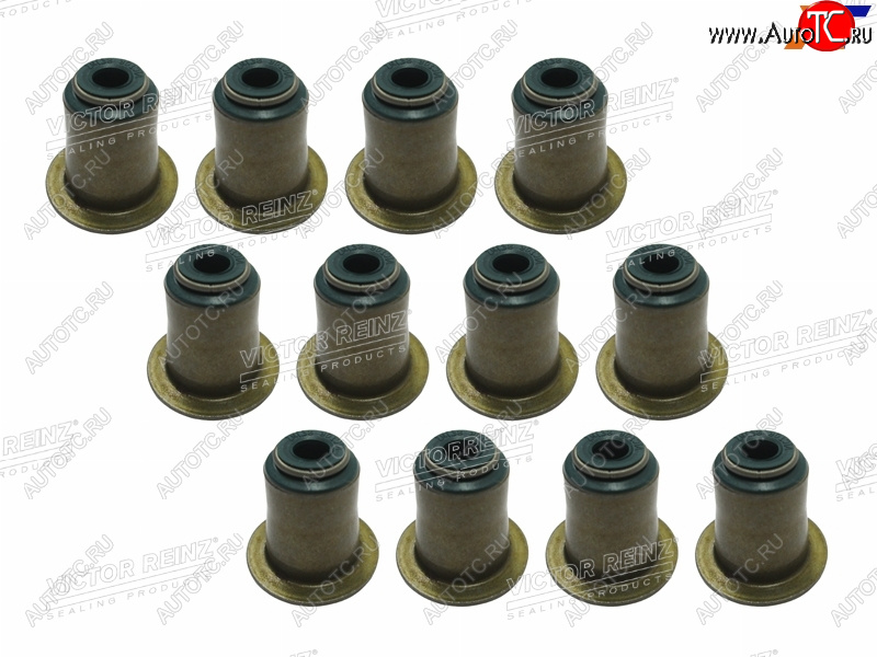 4 399 р. Комплект маслосъёмных колпачков BMW N50B30 (12 шт) VICTOR REINZ 12-37256-01  с доставкой в г. Кемерово