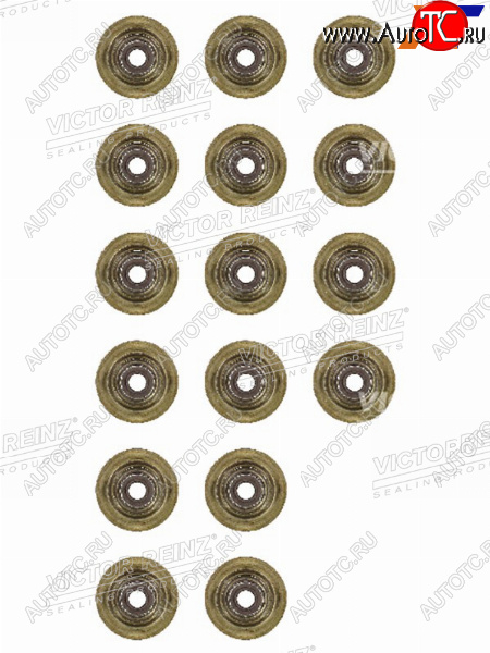 3 269 р. Комплект маслосъёмных колпачков CITROENPEUGEOTBMW 1(F20)(F21)C3C4C5207308 5F45FY5FD5FVN1 VICTOR REINZ 12-37621-01  с доставкой в г. Кемерово