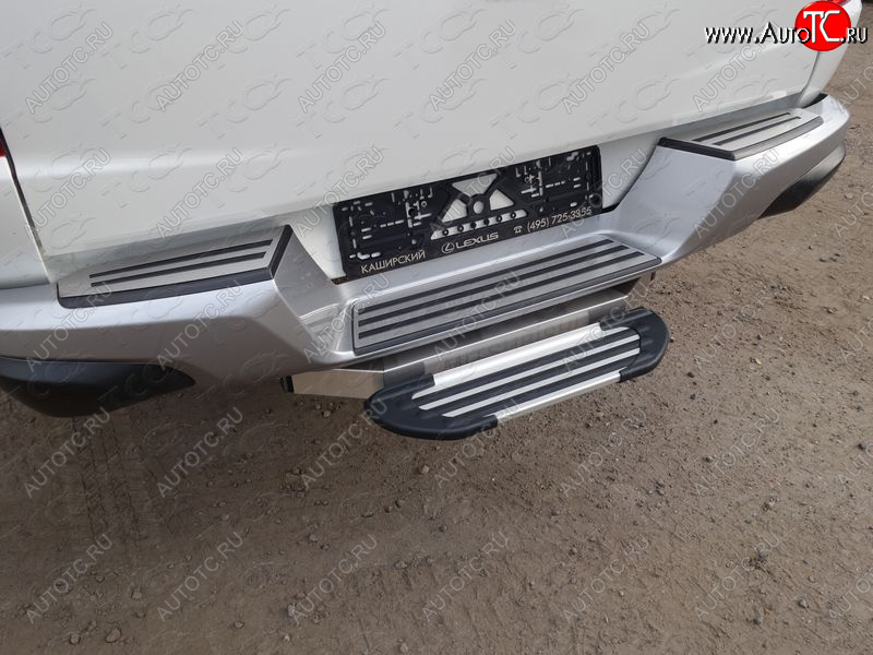 3 599 р. Задняя подножка алюминиевая Silver (под фаркоп тип Е) ___  tcup3s  с доставкой в г. Кемерово