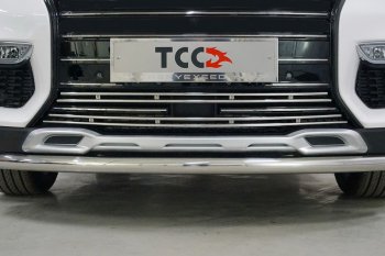 Нижняя декоративная вставка в бампер ТСС Тюнинг EXEED TXL (2020-2021)  дорестайлинг (d 12 мм)