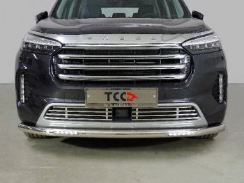 Защита переднего бампера нижняя с ДХО 60,3 мм ТСС Тюнинг EXEED VX дорестайлинг (2020-2023) (нержавейка)