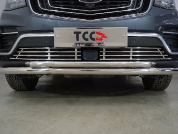 Декоративная вставка решетки радиатора ТСС Тюнинг Geely Atlas Pro  NL3 (2019-2025) (d 12 мм)