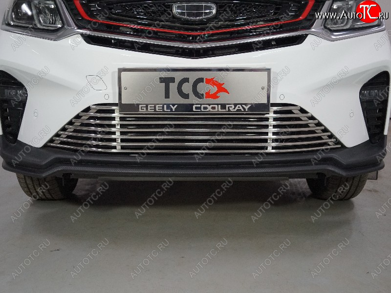 11 999 р. Декоративная вставка в бампер ТСС Тюнинг  Geely Coolray  SX11 (2018-2025) дорестайлинг, рестайлинг (d 12 мм)  с доставкой в г. Кемерово