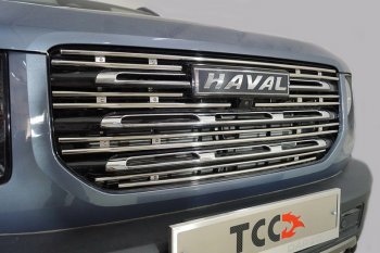 Декоративная вставка в решетку радиатора ТСС Тюнинг Haval Dargo (2022-2025) (d 12 мм)