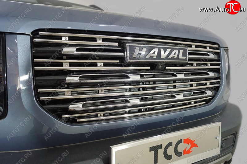 4 999 р. Декоративная вставка в решетку радиатора ТСС Тюнинг  Haval Dargo (2022-2025) (d 12 мм)  с доставкой в г. Кемерово