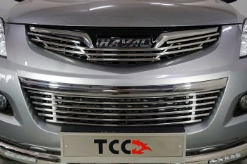 Верхняя декоративная вставка решетки радиатора ТСС Тюнинг Haval H5 (2020-2023) рестайлинг (d 12 мм)