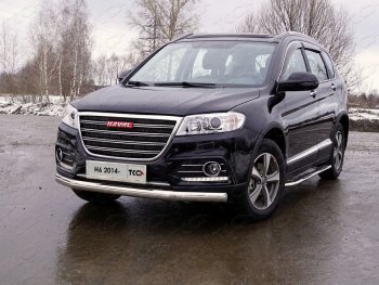 Защита переднего бампера нижняя овальная 75х42 мм ТСС Тюнинг Haval H6 (2013-2020) ()