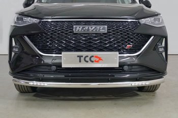 27 999 р. Защита переднего бампера нижняя с ДХО 60,3 мм ТСС Тюнинг Haval F7x рестайлинг (2022-2024) (нержавейка)  с доставкой в г. Кемерово. Увеличить фотографию 1