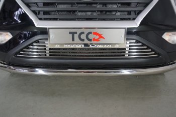 Декоративная вставка в бампер ТСС Тюнинг Hyundai Creta  SU (2020-2022) (d 12 мм)