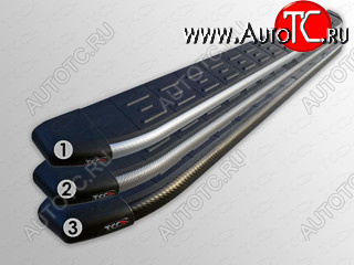 30 999 р. Пороги алюминиевые с пластиковой накладкой ТСС Тюнинг  Hyundai Starex/Grand Starex/H1  TQ (2014-2018) рестайлинг (карбон серые)  с доставкой в г. Кемерово