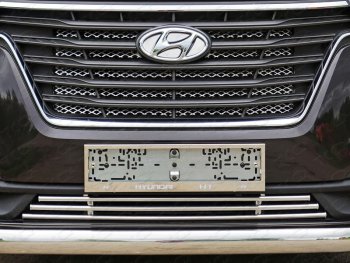 Декоративная вставка переднего бампера ТСС Тюнинг Hyundai Starex/Grand Starex/H1  TQ (2017-2022) 2-ой рестайлинг (d 16 мм)