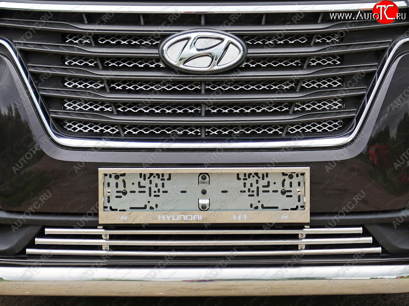 7 349 р. Декоративная вставка переднего бампера ТСС Тюнинг  Hyundai Starex/Grand Starex/H1  TQ (2017-2022) 2-ой рестайлинг (d 16 мм)  с доставкой в г. Кемерово