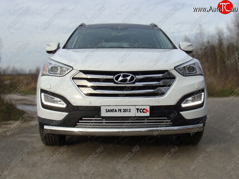 7 349 р. Декоративная вставка переднего бампера ТСС Тюнинг  Hyundai Santa Fe  DM (2012-2019) дорестайлинг, рестайлинг (d 16 мм)  с доставкой в г. Кемерово