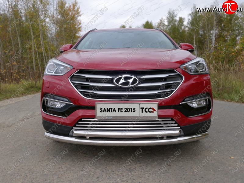 8 799 р. Декоративная вставка переднего бампера (Premium) ТСС Тюнинг  Hyundai Santa Fe  DM (2015-2019) рестайлинг (d 16 мм)  с доставкой в г. Кемерово