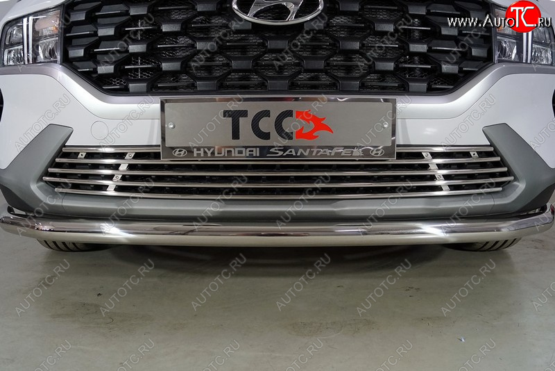 8 699 р. Нижняя декоративная вставка в бампер ТСС Тюнинг  Hyundai Santa Fe  TM (2020-2022) рестайлинг (d 12 мм)  с доставкой в г. Кемерово