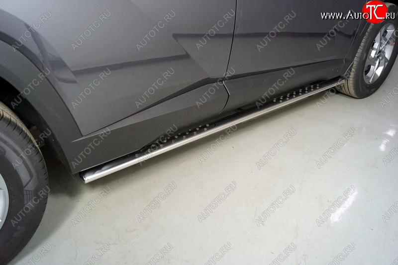 35 749 р. Пороги овальные с проступью 75х42 мм ТСС Тюнинг Hyundai Tucson NX4 (2020-2022) (серые)  с доставкой в г. Кемерово