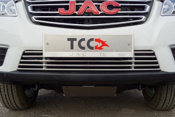 5 599 р. Декоративная вставка переднего бампера ТСС Тюнинг  JAC T6 (2018-2024) пикап (d 12 мм)  с доставкой в г. Кемерово. Увеличить фотографию 1